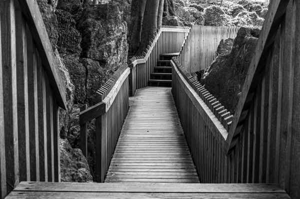 Holzbrücke  Schwarzweißfotografie