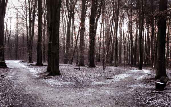 ...welcher Weg ist der Richtige...