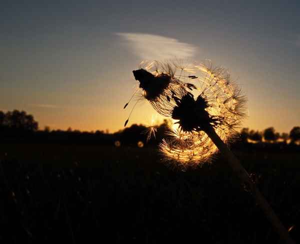 sonnenuntergang 3