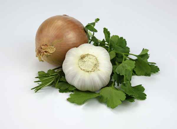 Gemüse: Zwiebel, Knoblauch, Petersilie