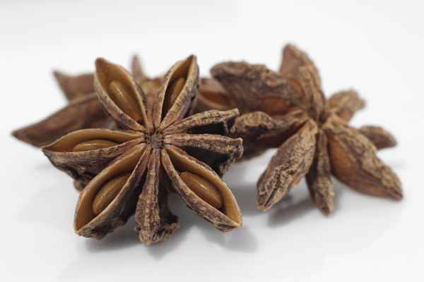 Sternanis