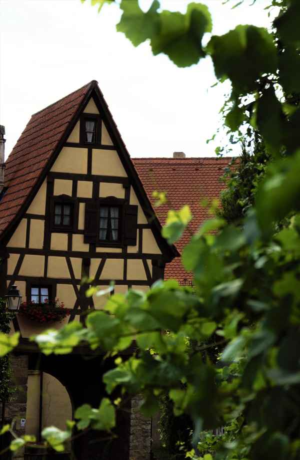 Blick zurück