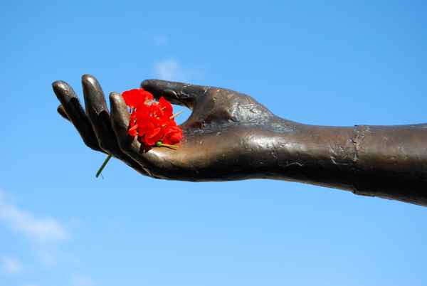 hand und blume