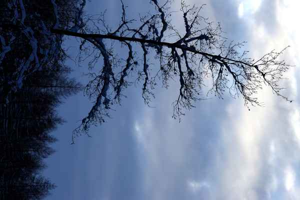 Winterstimmung