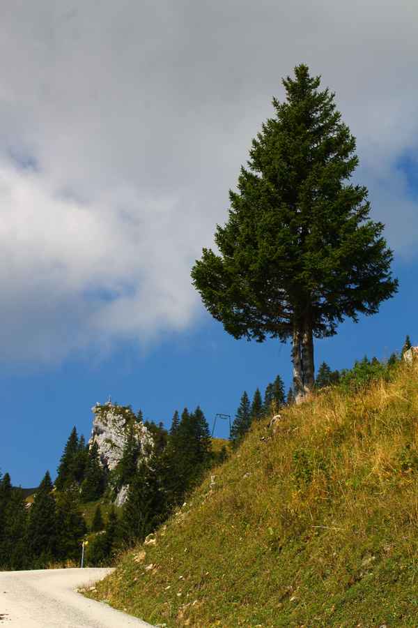 Spätsommer.Eindrücke...14