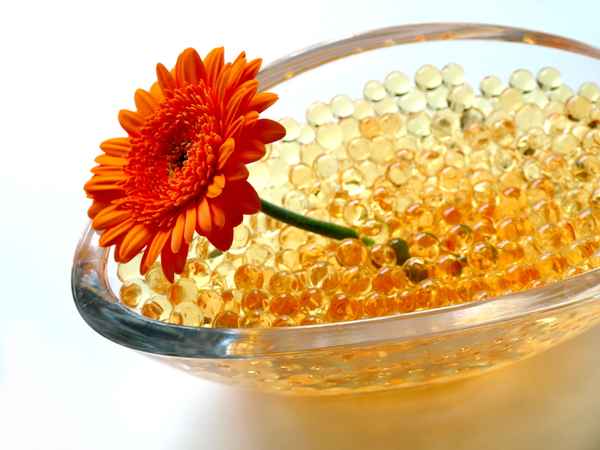 Gerbera - mal anders