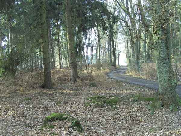 Waldweg 15