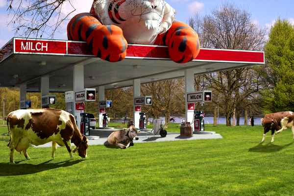 Tank mal Milch