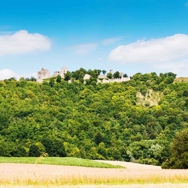 Sommerlandschaft