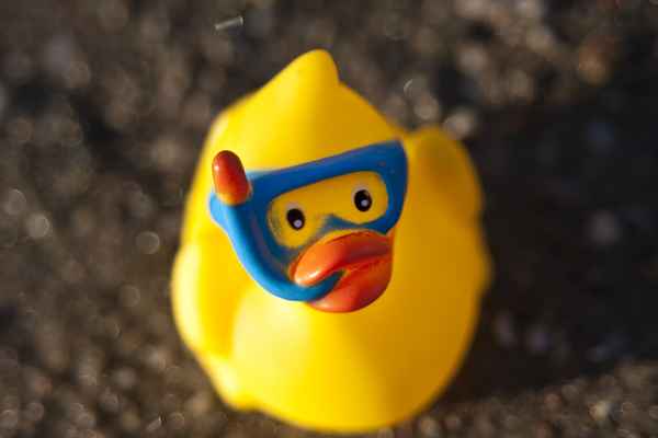 gelbe Badeente mit Taucherbrille