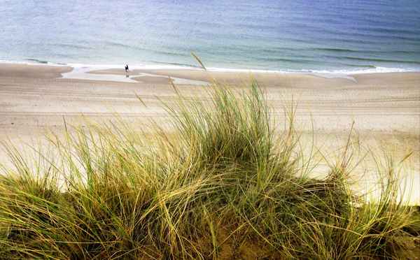 Sylt - Strandspaziergang