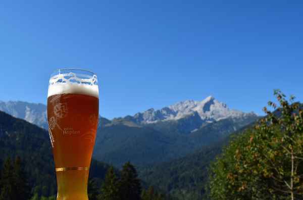 Isotonische Hopfenkaltschale