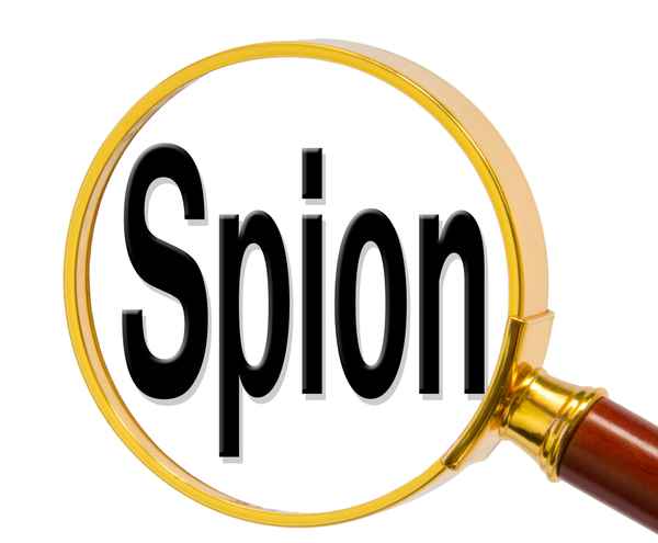 Spion