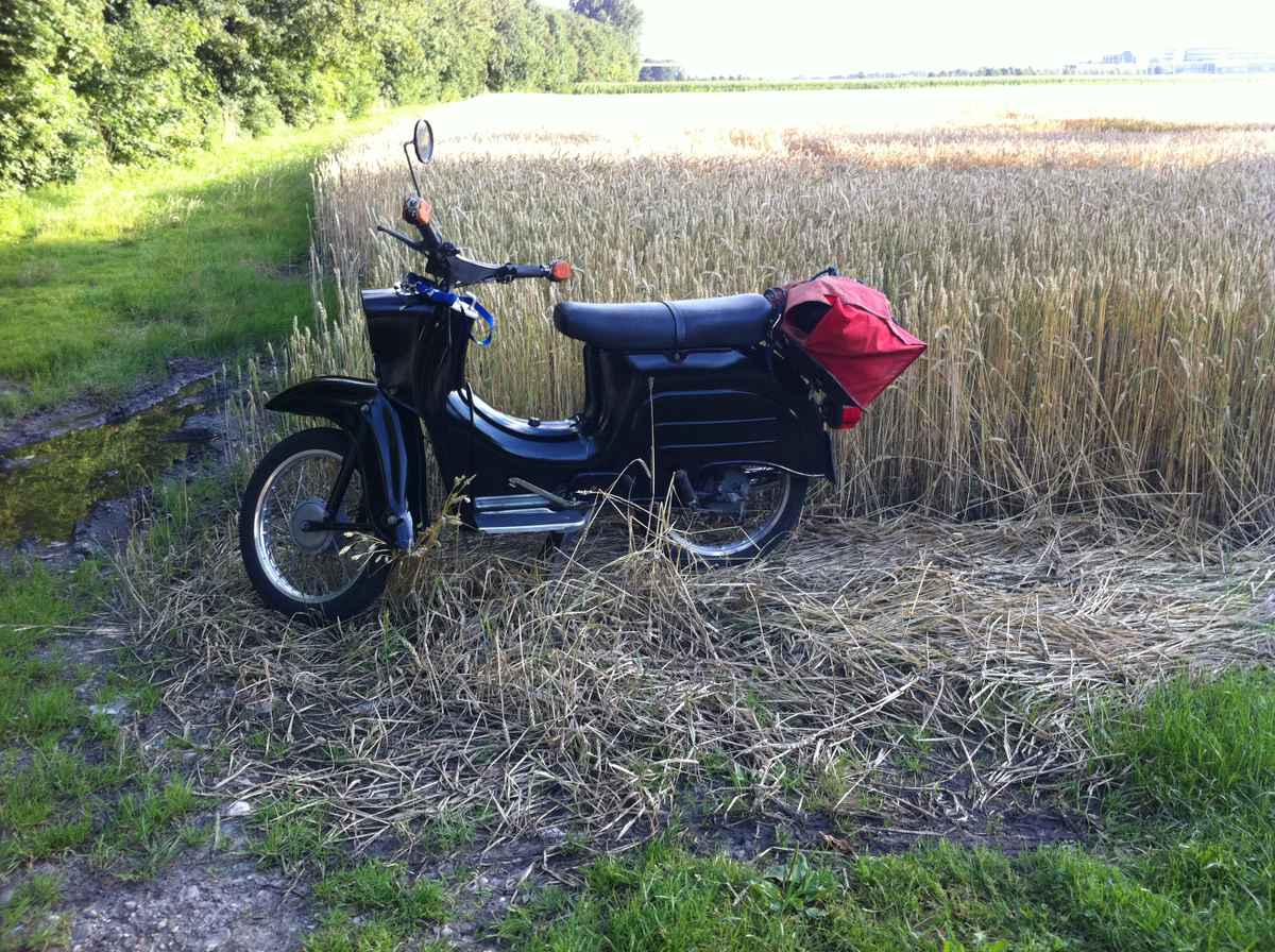 Eine schwarz lakierte Schwalbe vor einem Getreidefeld / Foto: Alexander Hauk