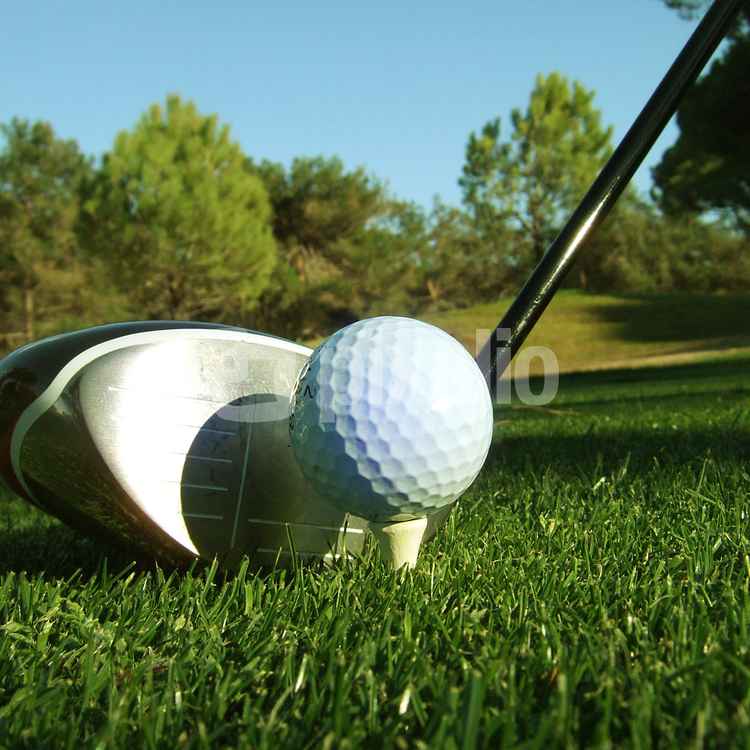 Golfschläger Driver, quer_2
