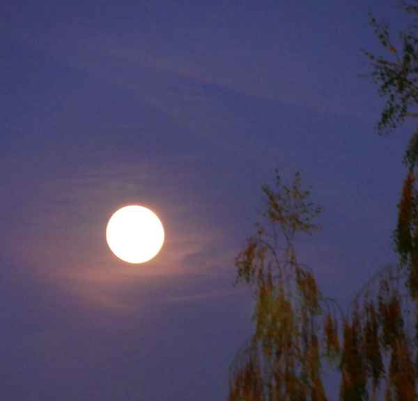 Vollmond