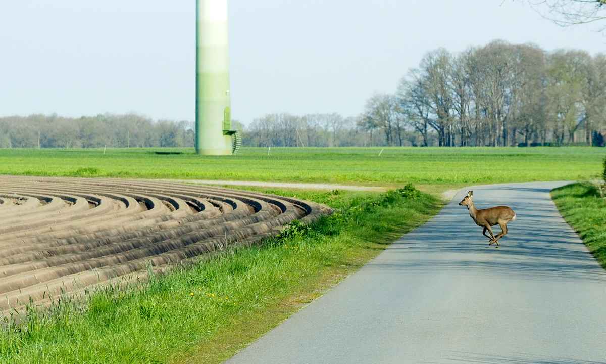 begegnung am morgen