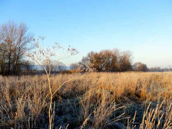 Frostige Elblandschaft