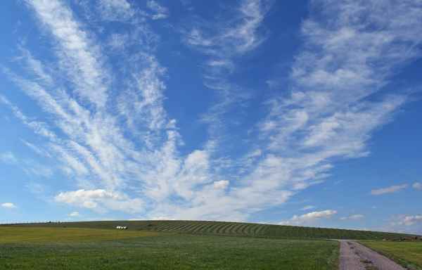 Der Wind malt seine eigenen Bilder