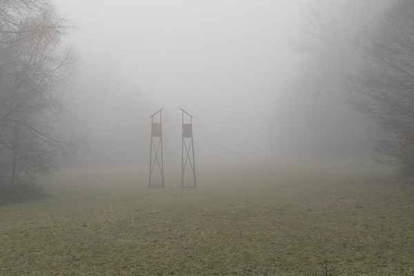 Zu viel Jägermeister?