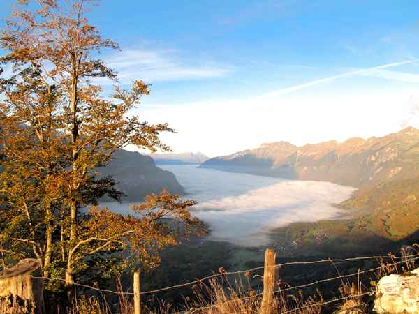 Herbstfarben in den Voralpen