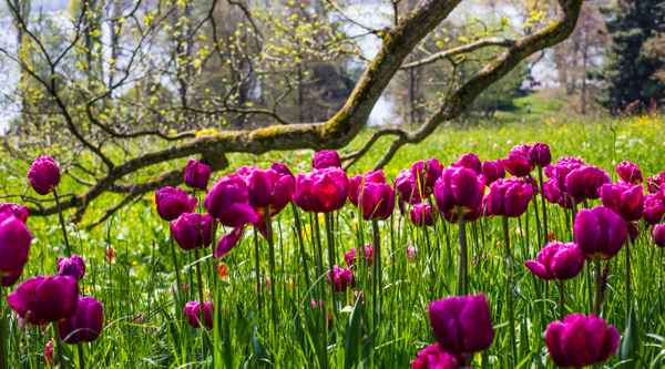 Kontraste im Frühling