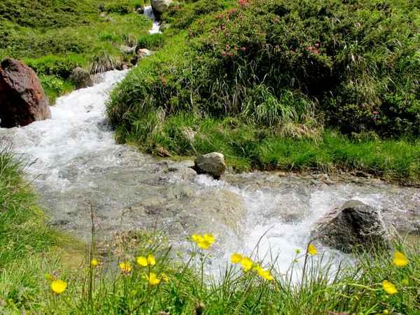 Natur an der Passstrasse