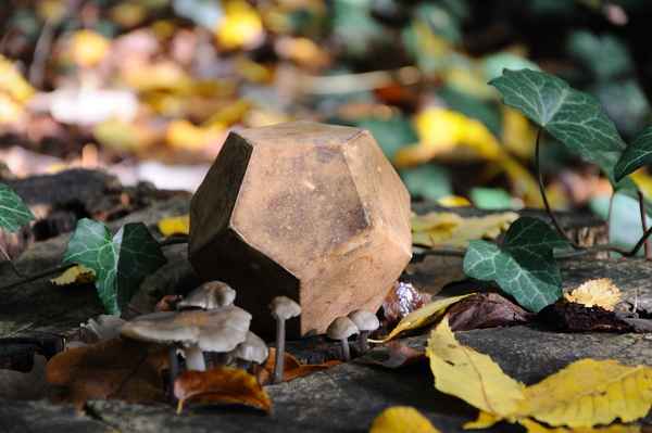 Essence of Nature