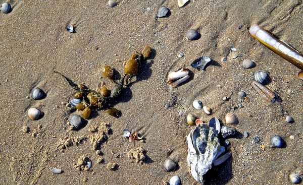 Am Strand