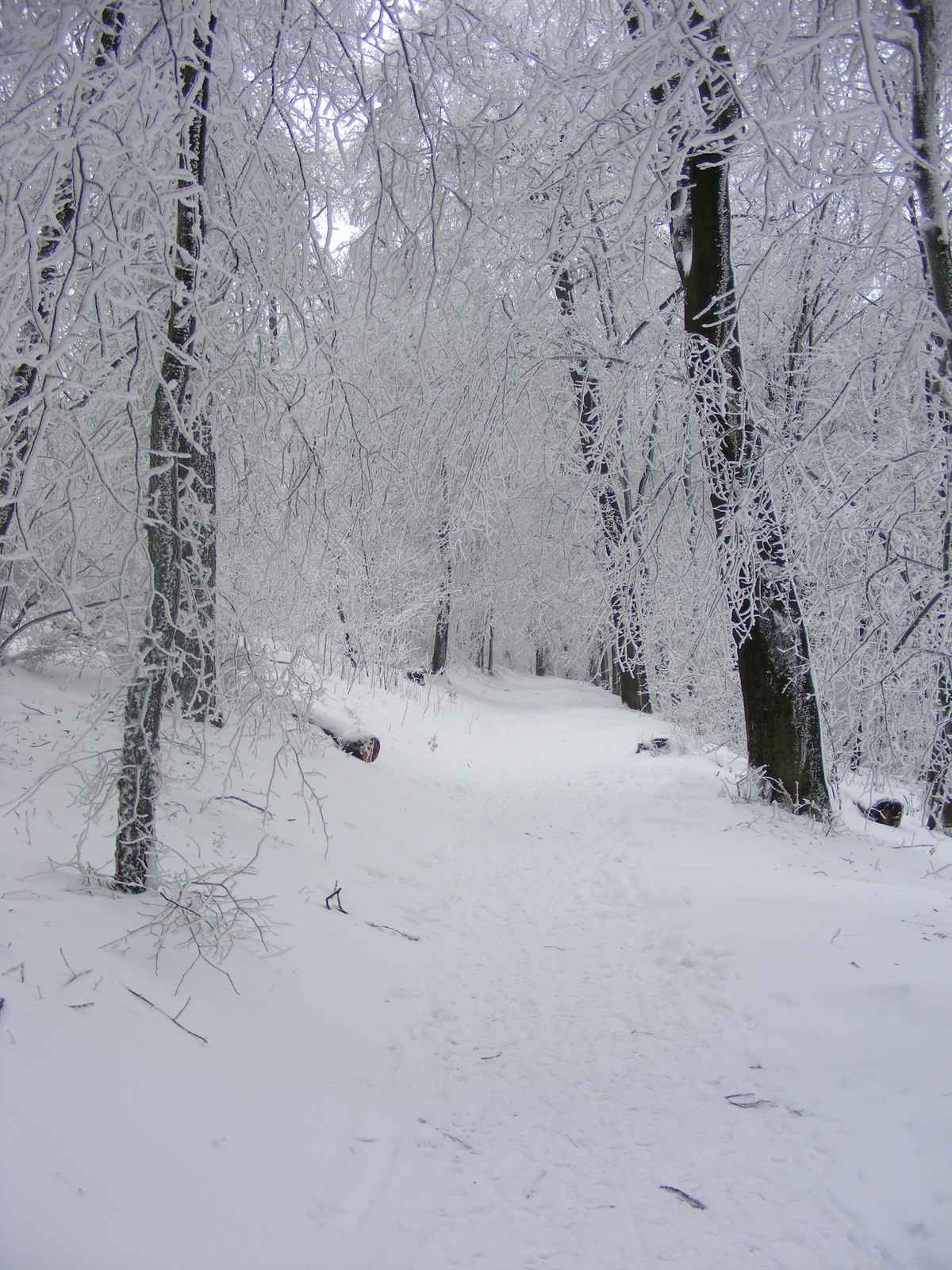Winterlandschaft 1