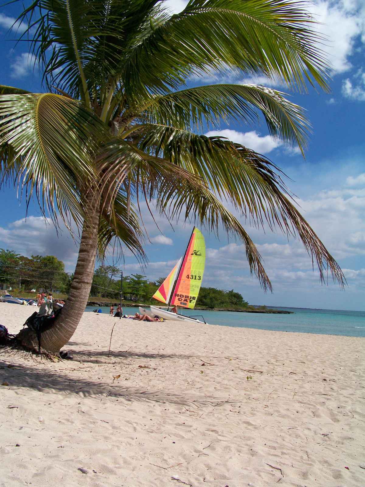 unter der Palme segeln...