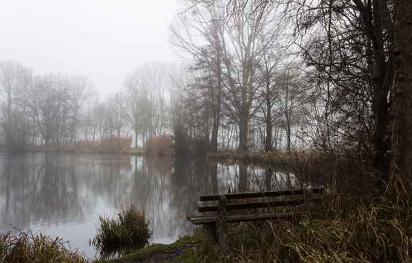 Nebel am See