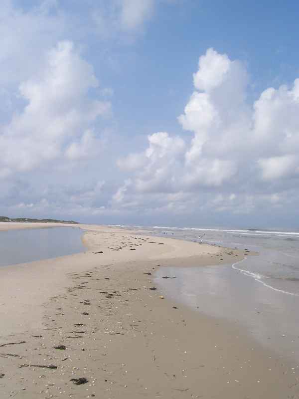 Watt-Insel Amrum
