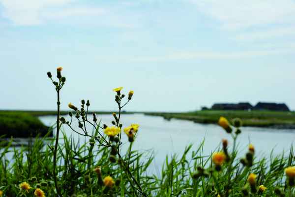 Hallig Hooge