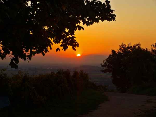 Mit der Sonne geht der Tag