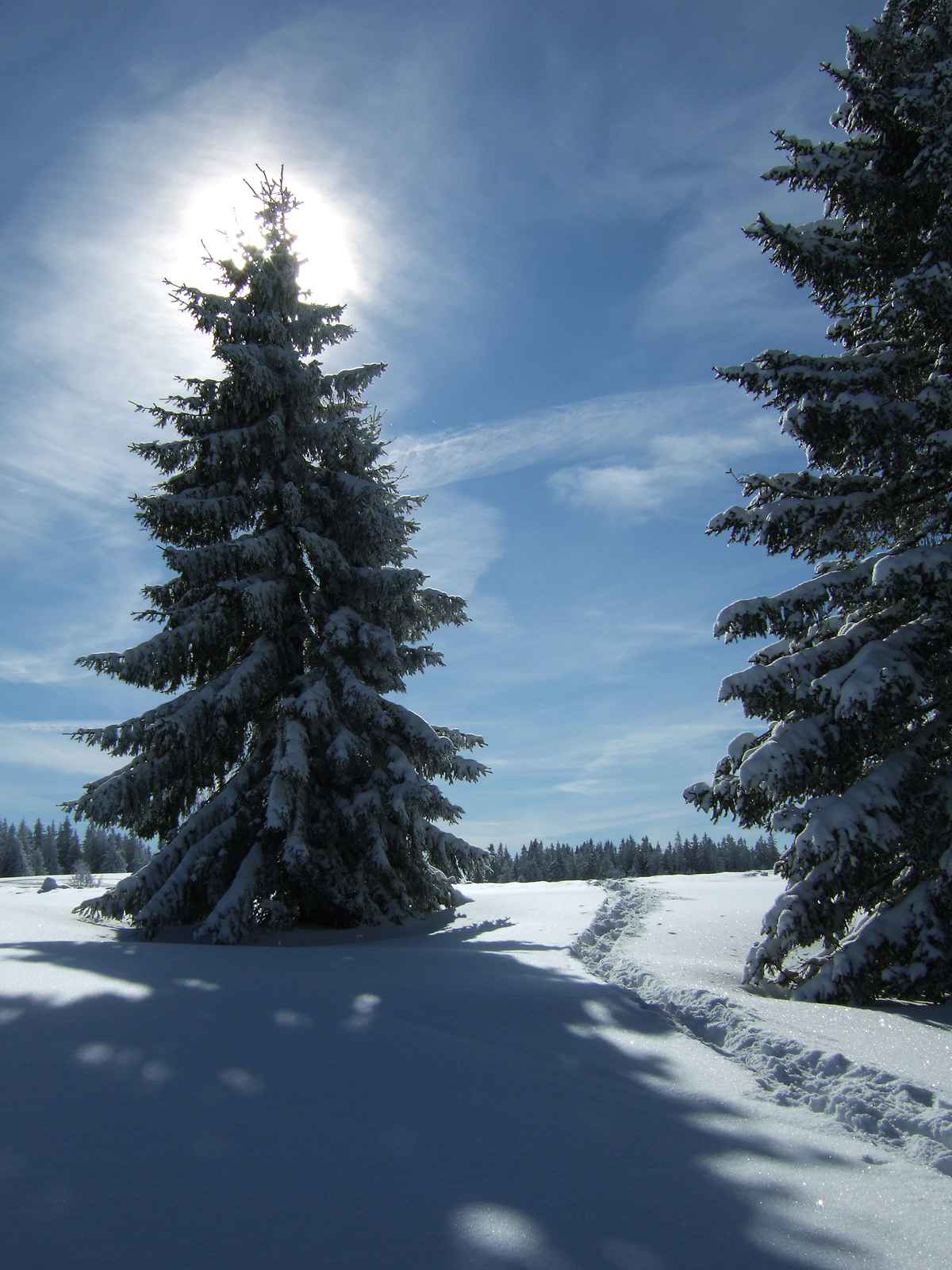 Postkartenwinter_hoch