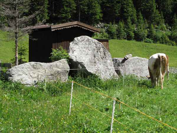 Steine-Felsen in der Natur