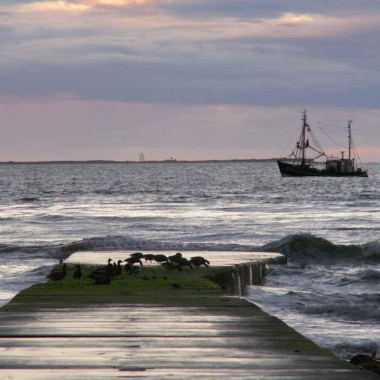 Borkum Abendstimmung