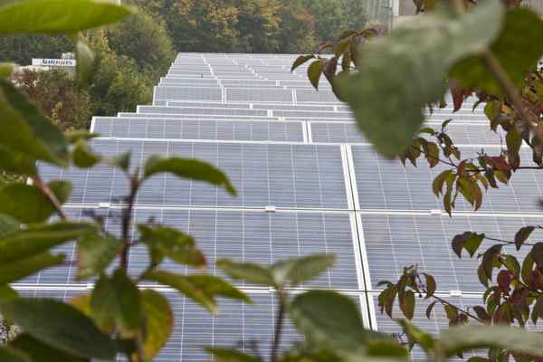 Solarstrom und Autogas im Grünen