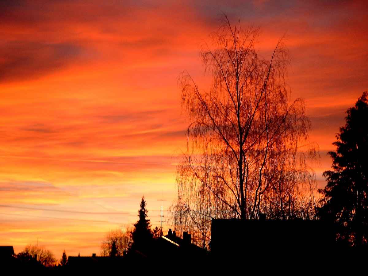 Abendstimmung 1