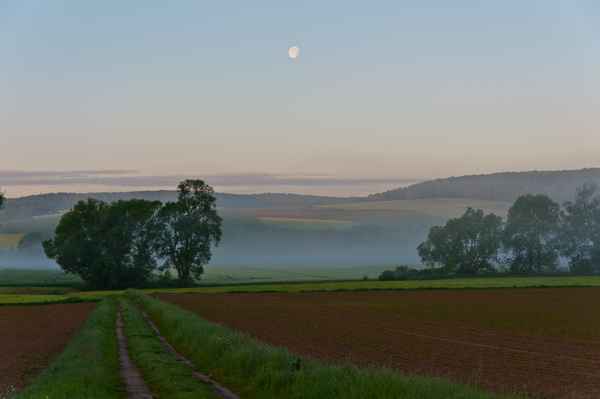 Morgennebel