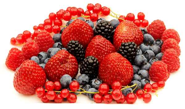 früchte des sommers