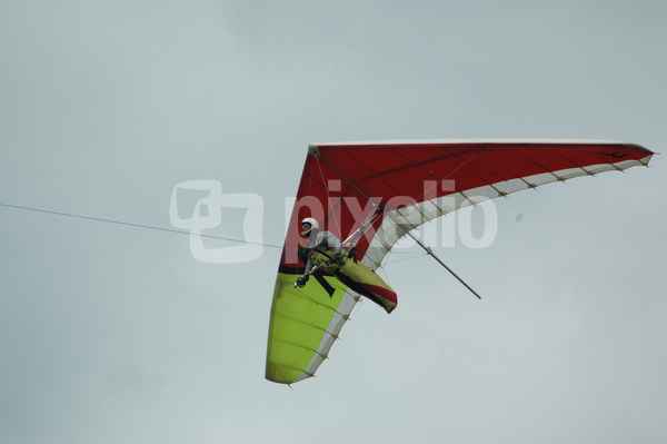 Fliegen