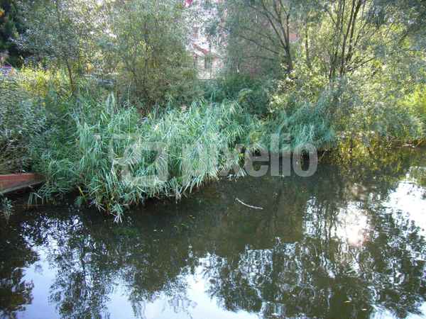 Wasserspiegelung