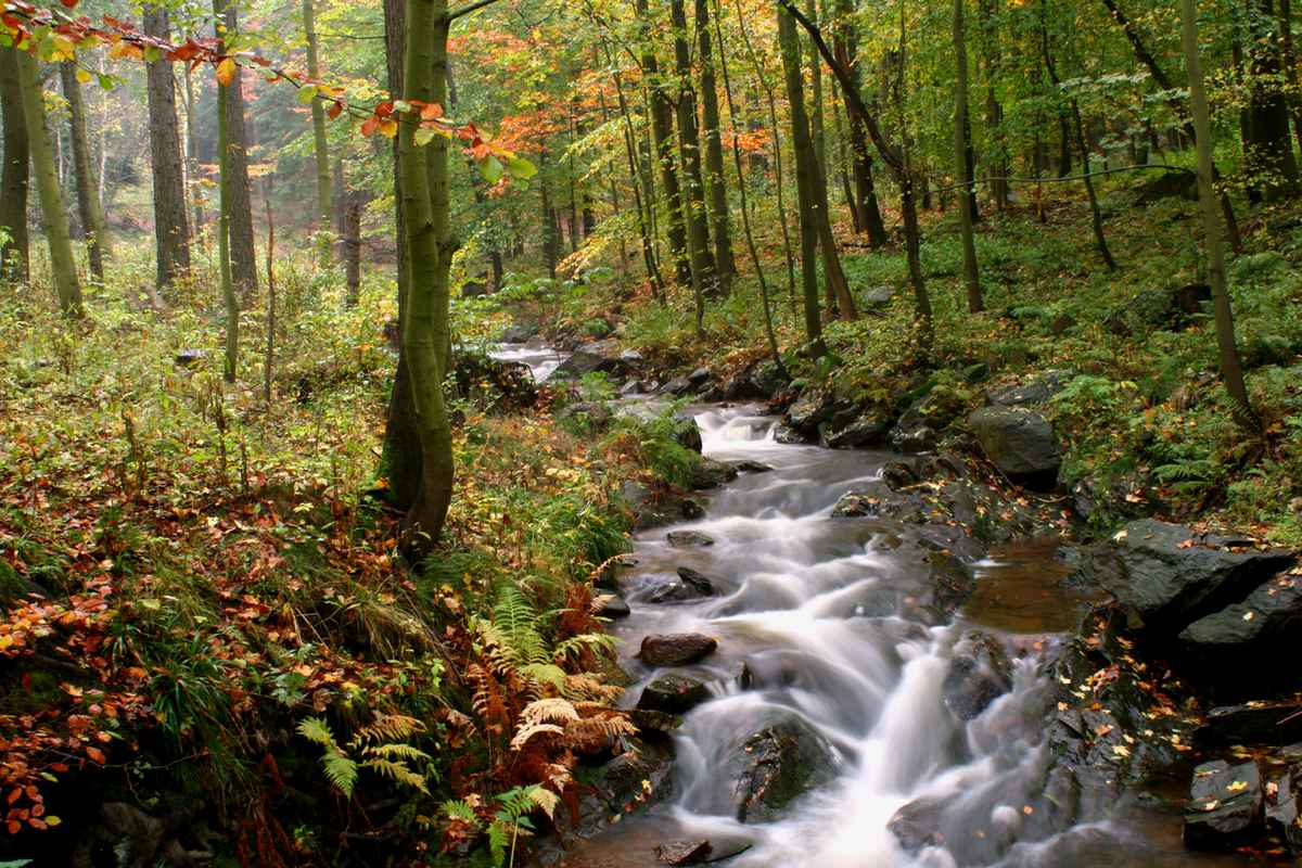 Herbst