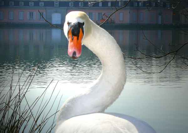 "Mach mich nicht an"