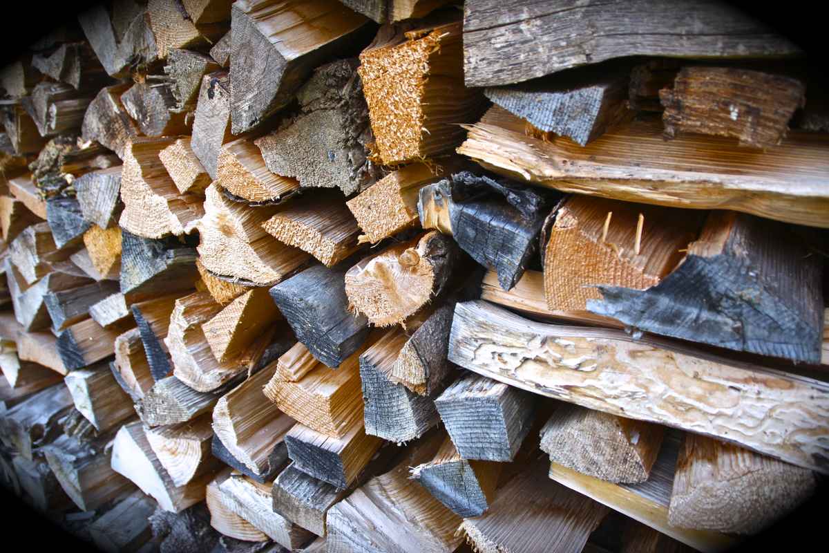 Holz