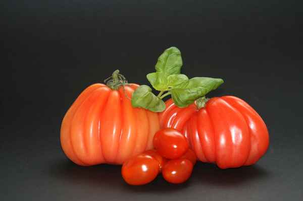 pomodoro di spessore