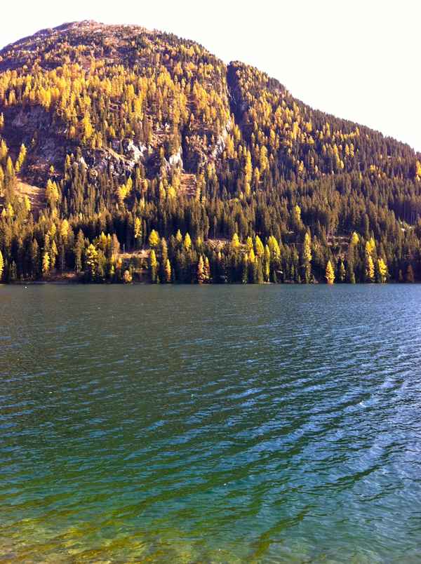 Herbstgruss aus der Schweiz