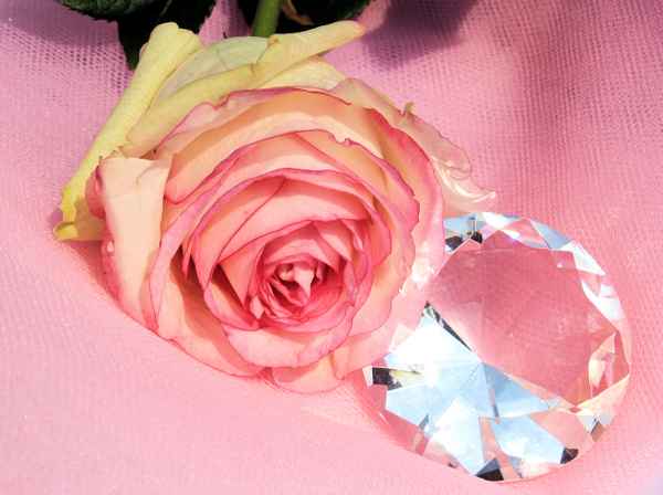 DIAMOND ROSE